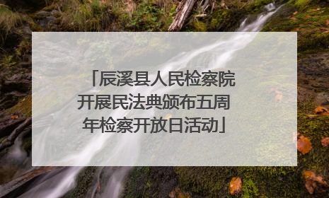 辰溪县人民检察院开展民法典颁布五周年检察开放日活动