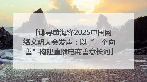 谦寻董海锋2025中国网络文明大会发声：以“三个向善”构建直播电商善意长河