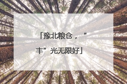 豫北粮仓，“丰”光无限好