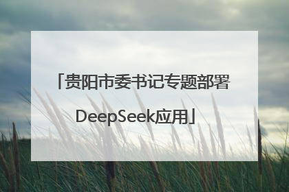 贵阳市委书记专题部署DeepSeek应用