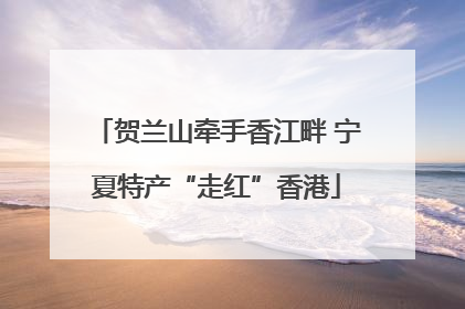 贺兰山牵手香江畔 宁夏特产“走红”香港
