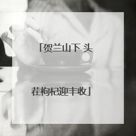 贺兰山下 头茬枸杞迎丰收