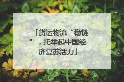 货运物流“稳链”，托举起中国经济复苏活力