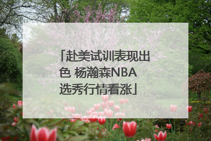 赴美试训表现出色 杨瀚森NBA选秀行情看涨