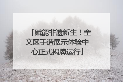 赋能非遗新生！奎文区手造展示体验中心正式揭牌运行