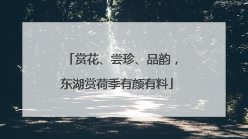 赏花、尝珍、品韵，东湖赏荷季有颜有料