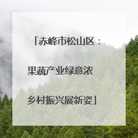 赤峰市松山区：果蔬产业绿意浓 乡村振兴展新姿