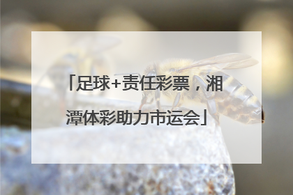足球+责任彩票，湘潭体彩助力市运会