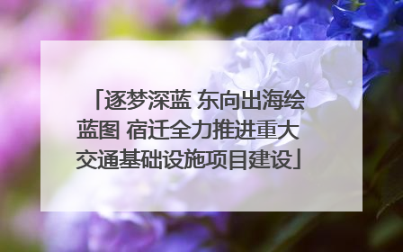 逐梦深蓝 东向出海绘蓝图 宿迁全力推进重大交通基础设施项目建设