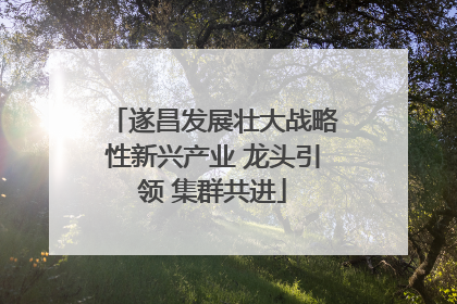 遂昌发展壮大战略性新兴产业 龙头引领 集群共进