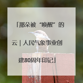 那朵被“唤醒”的云｜人民气象事业创建80周年印记