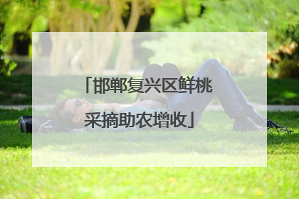 邯郸复兴区鲜桃采摘助农增收