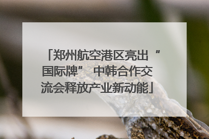 郑州航空港区亮出“国际牌” 中韩合作交流会释放产业新动能