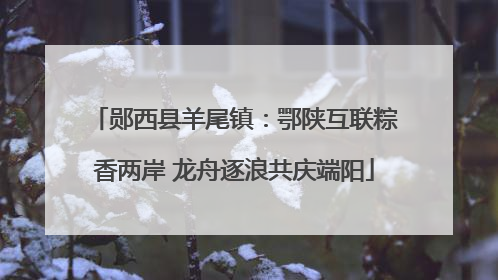 郧西县羊尾镇：鄂陕互联粽香两岸 龙舟逐浪共庆端阳