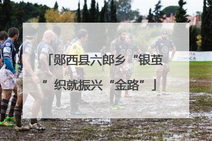 郧西县六郎乡“银茧”织就振兴“金路”