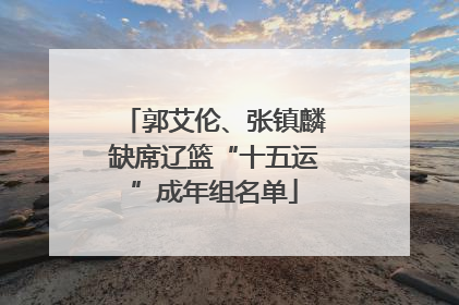 郭艾伦、张镇麟缺席辽篮“十五运”成年组名单