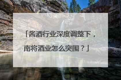 酱酒行业深度调整下，南将酒业怎么突围？