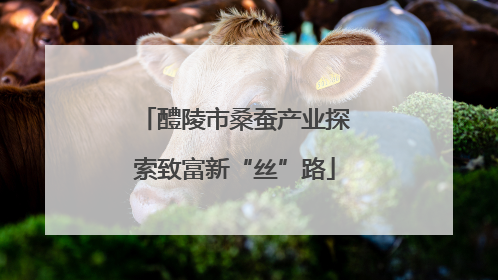 醴陵市桑蚕产业探索致富新“丝”路