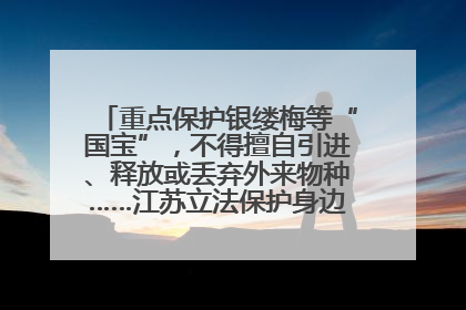 重点保护银缕梅等“国宝”，不得擅自引进、释放或丢弃外来物种……江苏立法保护身边的生物“朋友圈”