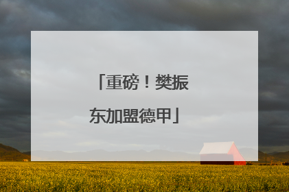 重磅！樊振东加盟德甲
