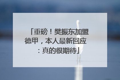 重磅！樊振东加盟德甲，本人最新回应：真的很期待