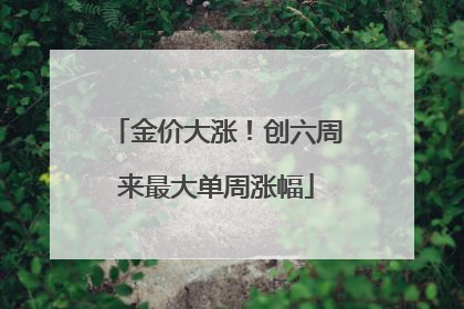 金价大涨！创六周来最大单周涨幅