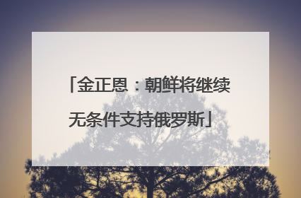 金正恩：朝鲜将继续无条件支持俄罗斯