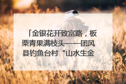 金银花开致富路，板栗青果满枝头——团风县钓鱼台村“山水生金”谱写共富新篇章
