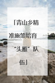 青山乡精准施策培育“头雁”队伍