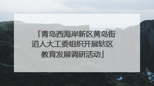 青岛西海岸新区黄岛街道人大工委组织开展辖区教育发展调研活动