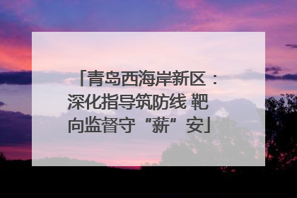 青岛西海岸新区：深化指导筑防线 靶向监督守“薪”安