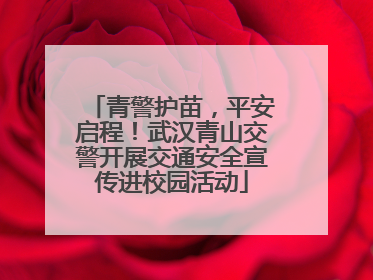 青警护苗，平安启程！武汉青山交警开展交通安全宣传进校园活动
