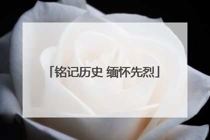 铭记历史 缅怀先烈