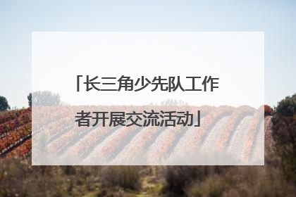 长三角少先队工作者开展交流活动