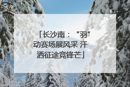 长沙南：“羽”动赛场展风采 汗洒征途竞锋芒