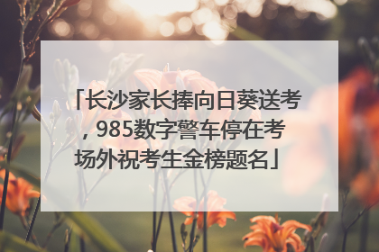 长沙家长捧向日葵送考，985数字警车停在考场外祝考生金榜题名