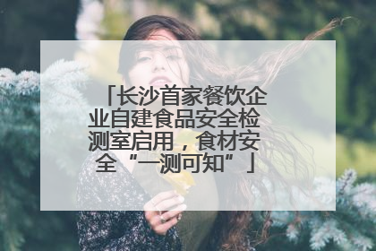 长沙首家餐饮企业自建食品安全检测室启用，食材安全“一测可知”