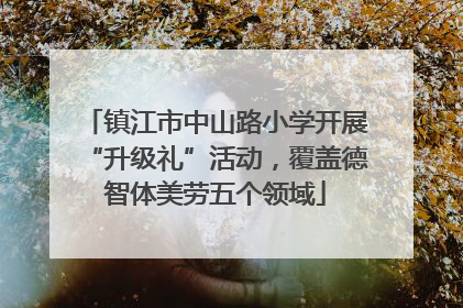 镇江市中山路小学开展“升级礼”活动，覆盖德智体美劳五个领域