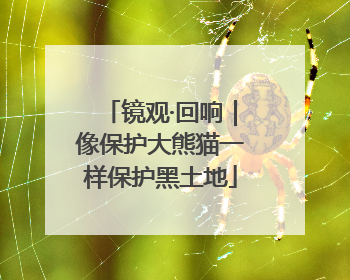 镜观·回响｜像保护大熊猫一样保护黑土地