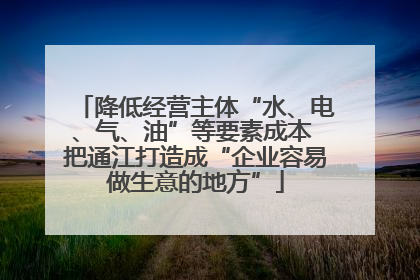降低经营主体“水、电、气、油”等要素成本 把通江打造成“企业容易做生意的地方”