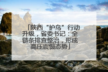 陕西“护鸟”行动升级，省委书记：全链条排查整治，形成高压震慑态势
