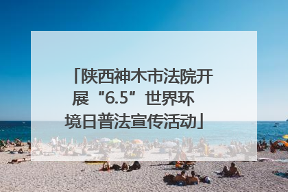 陕西神木市法院开展“6.5”世界环境日普法宣传活动