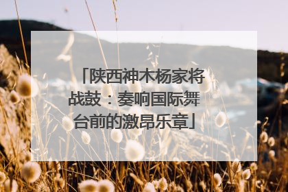 陕西神木杨家将战鼓：奏响国际舞台前的激昂乐章