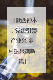 陕西神木：党建引领产业兴 乡村振兴谱新篇