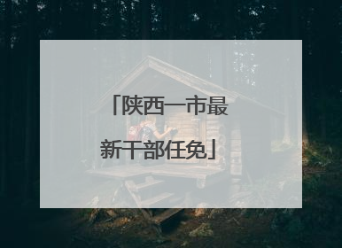 陕西一市最新干部任免