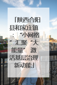 陕西合阳县和家庄镇：“小网格”汇聚“大能量” 激活基层治理新动能