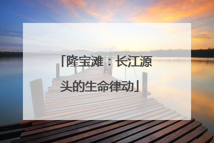 隆宝滩：长江源头的生命律动