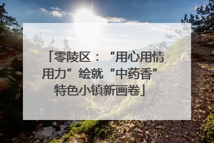 零陵区：“用心用情用力”绘就“中药香”特色小镇新画卷
