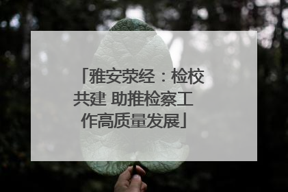雅安荥经：检校共建 助推检察工作高质量发展