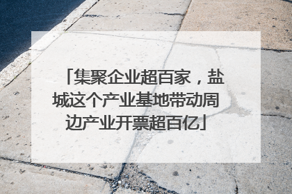 集聚企业超百家，盐城这个产业基地带动周边产业开票超百亿